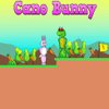 Cano Bunny Game: Features, How to Play, Tips, and Tricks